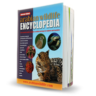 Arabian Wildlife Encyclopedia