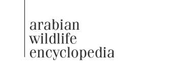 Arabian Wildlife Encyclopedia